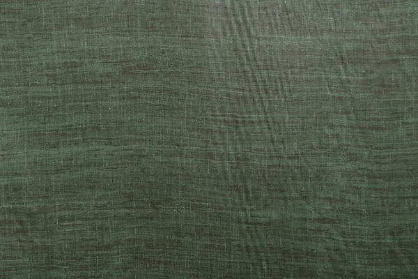 PANCRAZIO016 Muschio