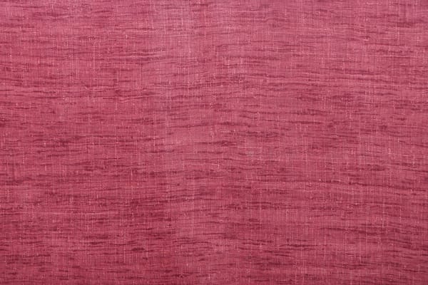 PANCRAZIO019 Begonia