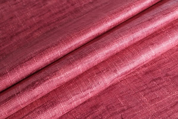 PANCRAZIO019 Begonia