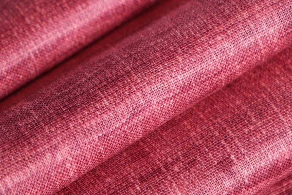 PANCRAZIO019 Begonia