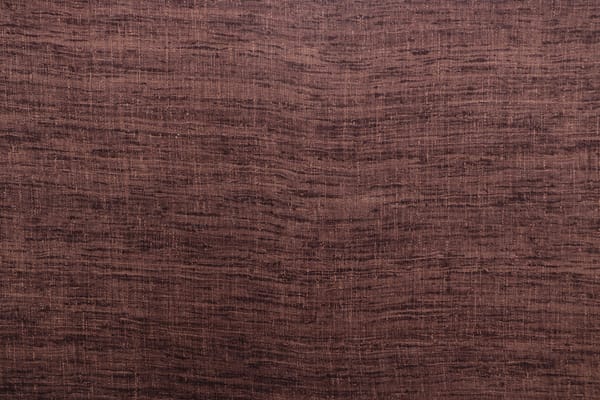 PANCRAZIO027 Quercia