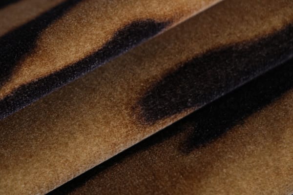 RICCIOLINA003 Cammello
