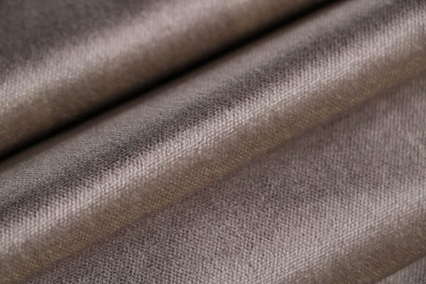 OZZY<br />009 Tortora