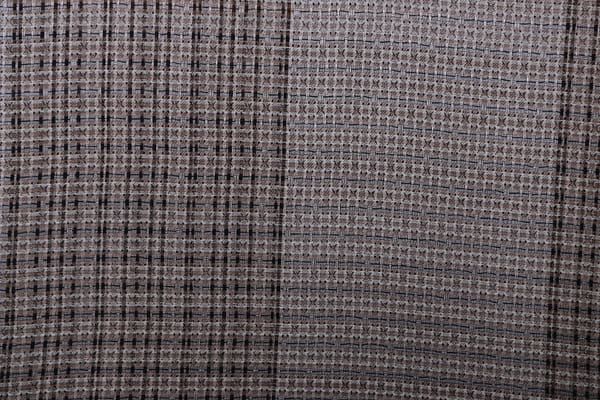 PATNA<br />002 Cammello