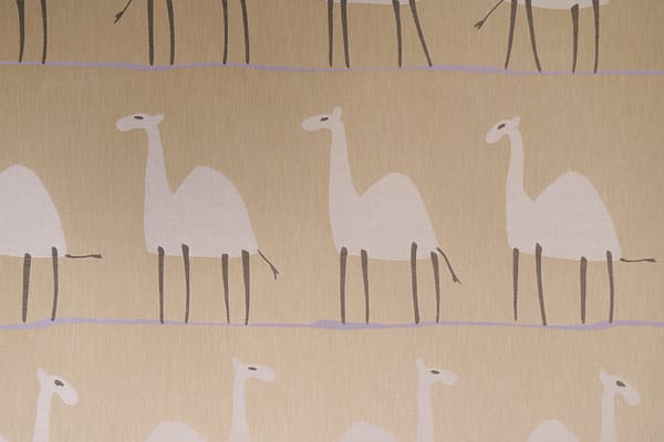 CAMMELLO003 Cammello