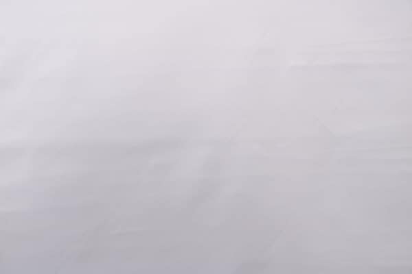 ZANNI001 Bianco-alga