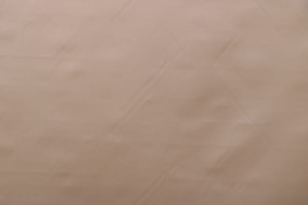 ZANNI005 Des.sc.-noce