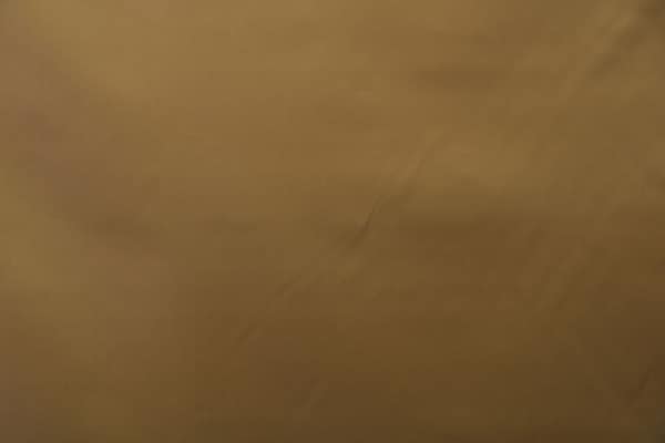 ZANNI012 Muschio-brucia