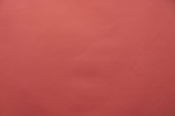 ZANNI015 Rubino-fuxia