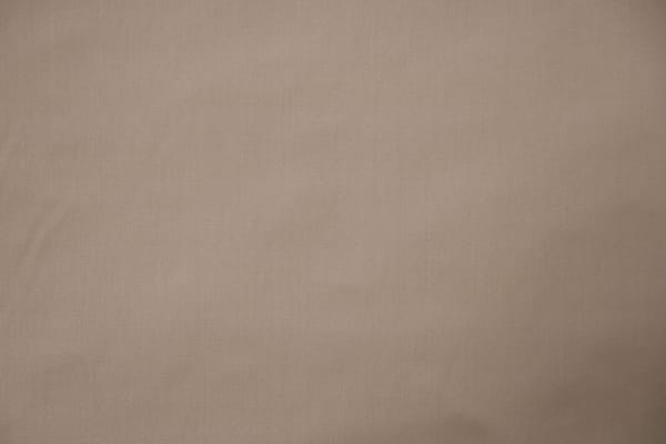 POGGIOREALE<br />007 Talpa