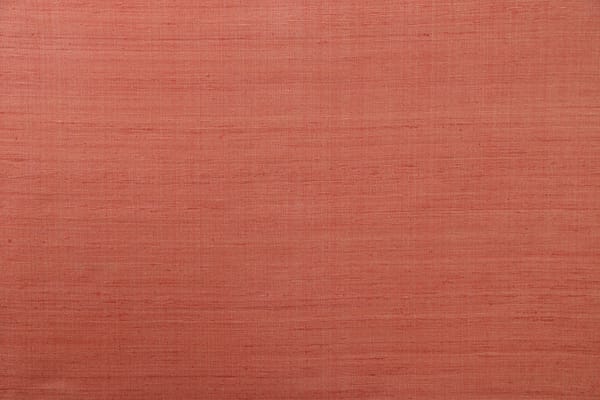 BUCINTORO<br />003 Albicocca