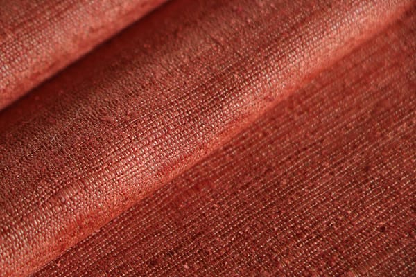 BUCINTORO<br />003 Albicocca