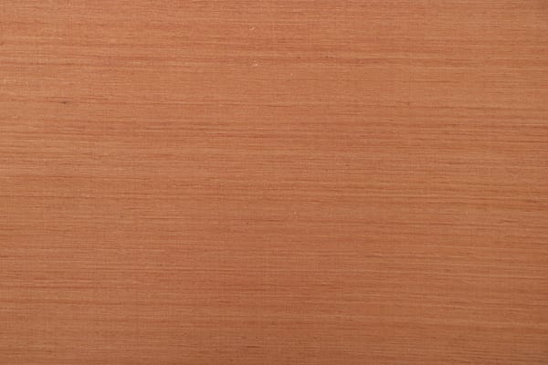 BUCINTORO<br />004 Biscotto