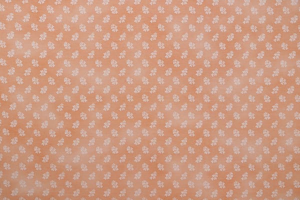 RUBAN COMBINE004 Salmone