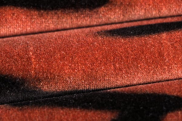 RICCIOLINA102 Bruciato new