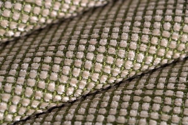 MINI006 Clorofilla av.