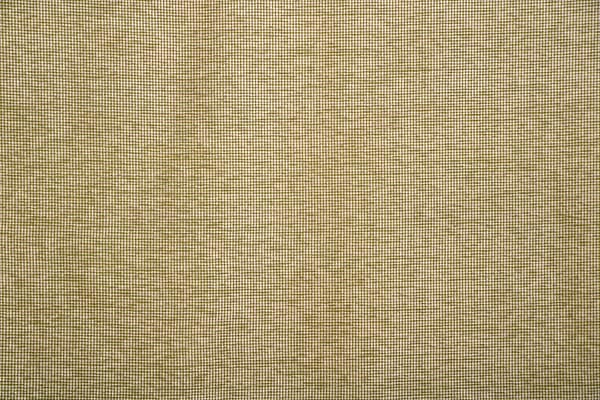 MINI006 Clorofilla av.