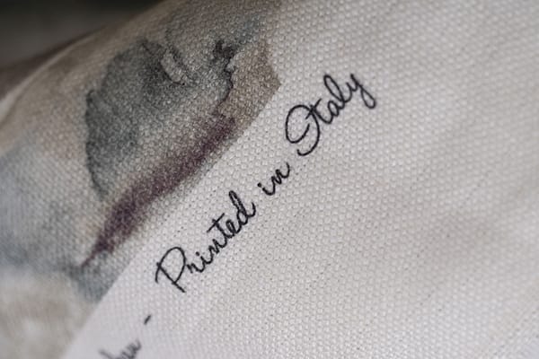 BOULEAU<br />002 Tortora