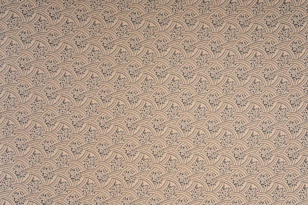 NICCOLÒ<br />004 Cammello