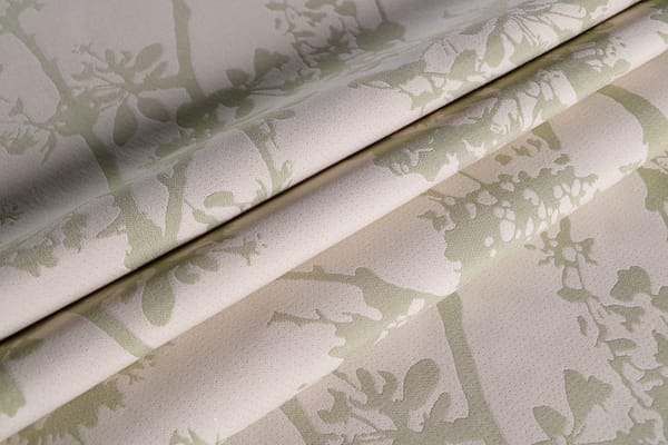 CLOROFILLA003 Clorofilla av.