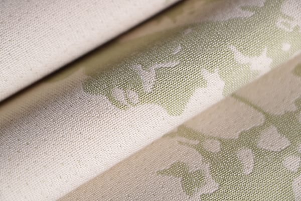 CLOROFILLA003 Clorofilla av.