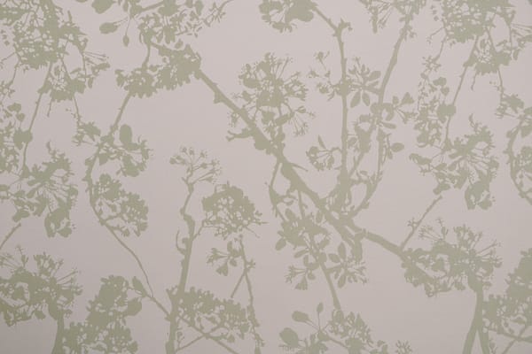 CLOROFILLA003 Clorofilla av.