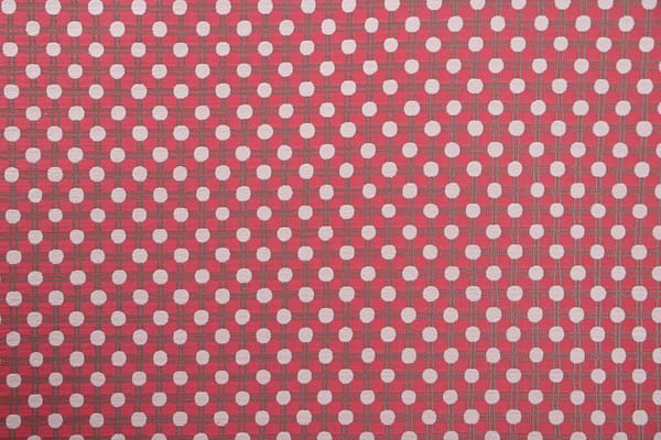 SOFT006 Lampone sacco