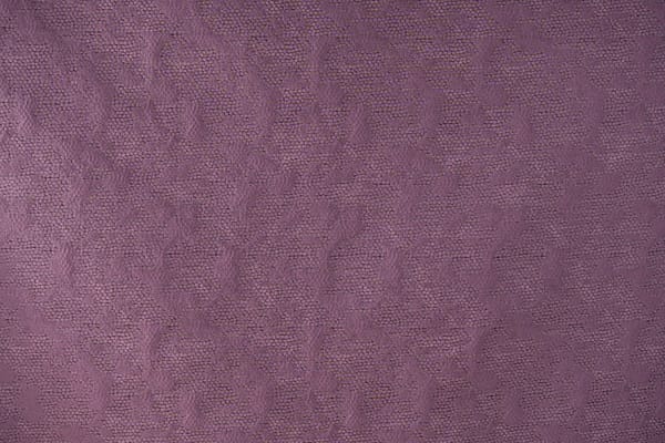 CLEOPATRA<br />005 Rosa