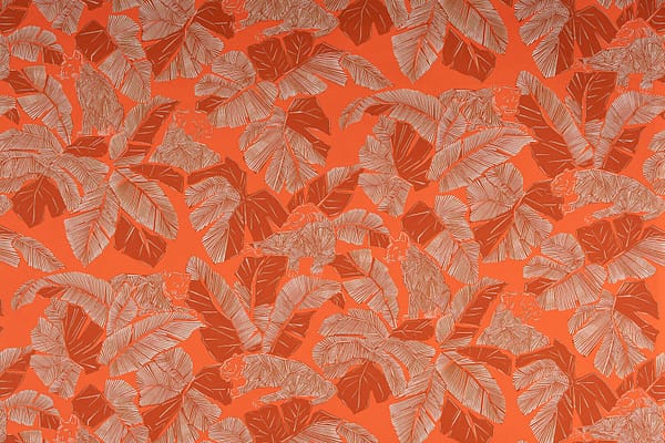 INDIRA<br />003 Arancio