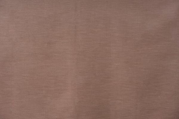 CRISTINA<br />014 Camoscio