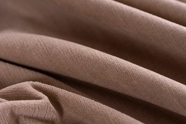 CRISTINA<br />014 Camoscio