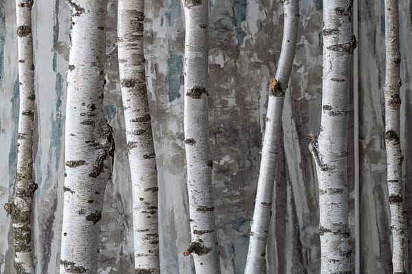 Home decoration textiles - Heritage 2022 Collection - BROCHIER