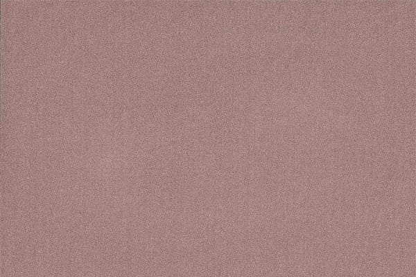 MEO PATACCA005 Tortora