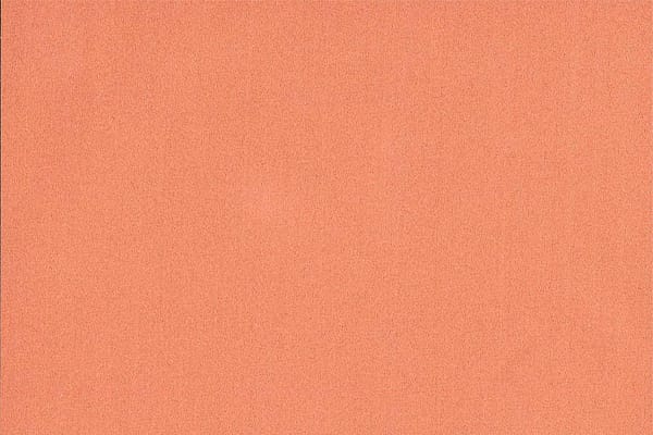 MEO PATACCA014 Begonia