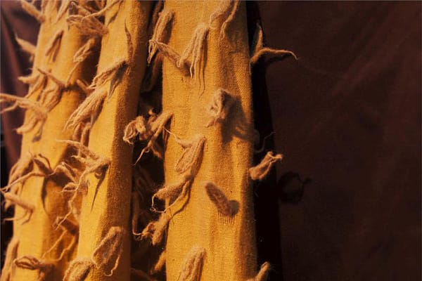 DIECI<br />004 Papaya