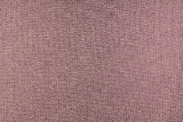 BALANZONE006 Camelia