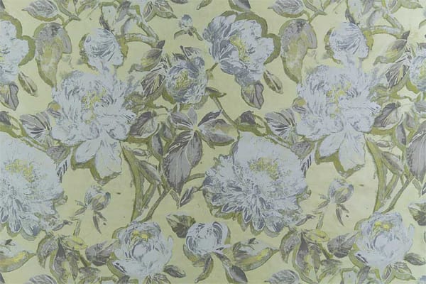 REGINA COELI004 Lime