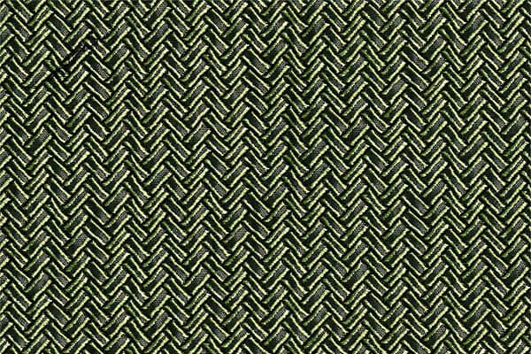 SECONDIGLIANO017 Oasi