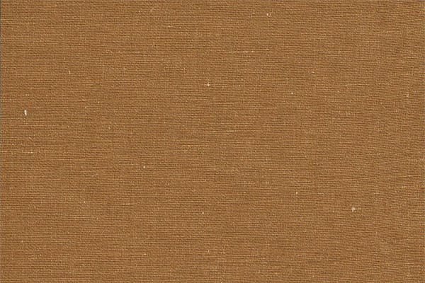 JIMI<br />007 Visone