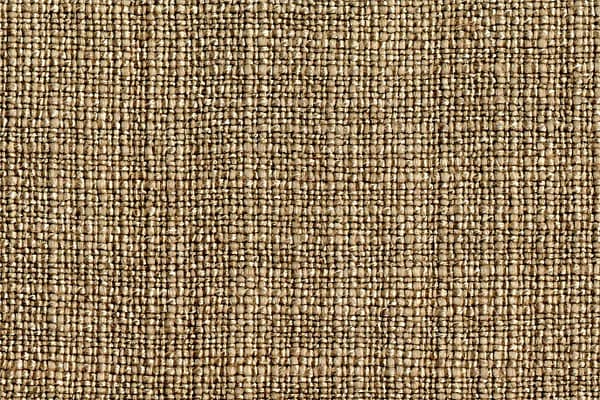 CAVALIERE002 Tortora