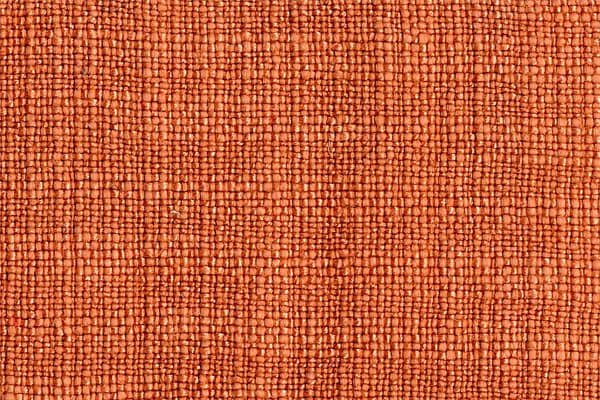 CAVALIERE010 Begonia