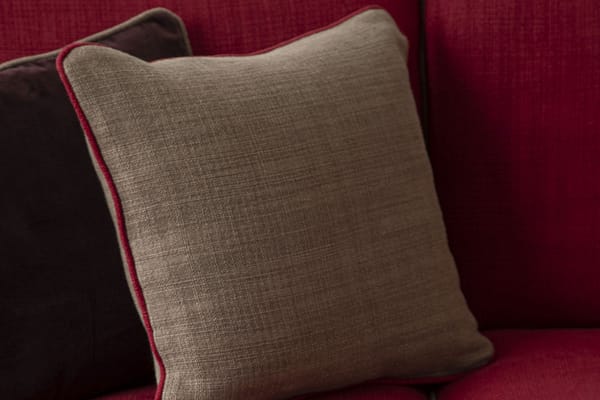 CAVALIERE010 Begonia