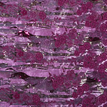 Fuxia, Pink Polyester Sequins Apparel Fabric UN000908