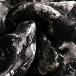 Tessuto Jacquard Fiore Astratto UN001149 per Abbigliamento