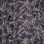Flowers Laces-Embroidery Apparel Fabric TC000605
