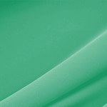 Plain Apparel Fabric TC000413
