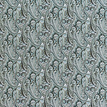 Paisley Print Apparel Fabric ST000772