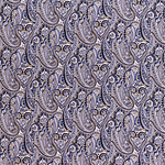 Paisley Print Apparel Fabric ST000773