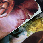 Flowers Print Apparel Fabric ST000942