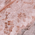 Laces-Embroidery Apparel Fabric TC001183